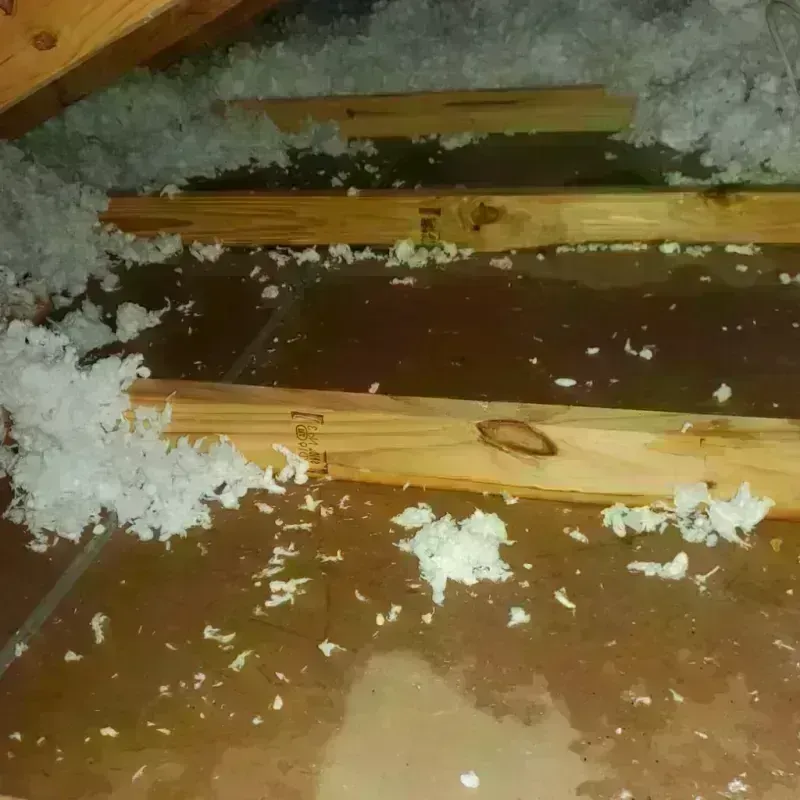 Attic Water Damage in Cos Cob, CT